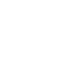 Best Stunt Film award